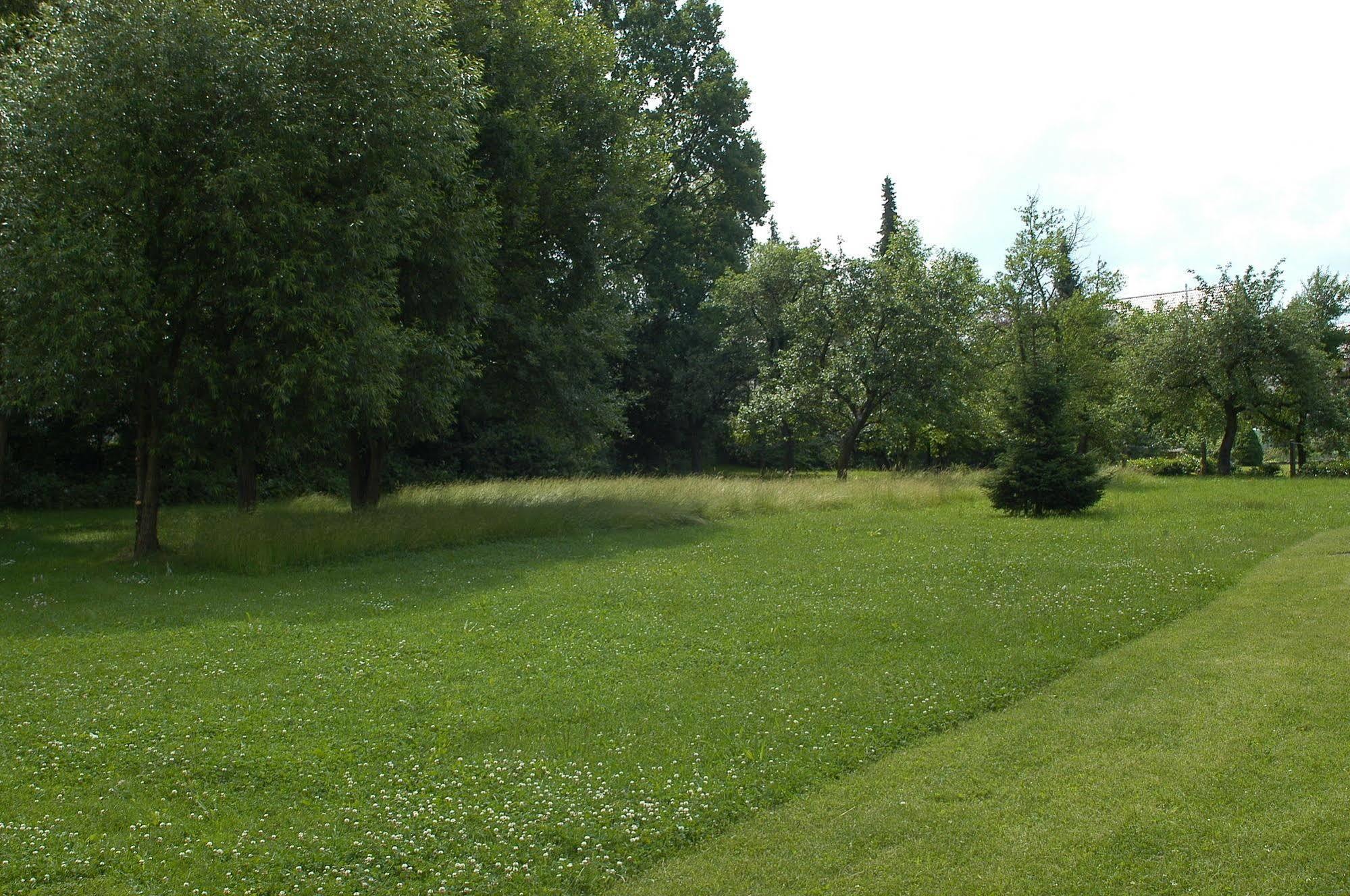 Landgasthof Und Hotel Weisser Lowe Eckental 외부 사진